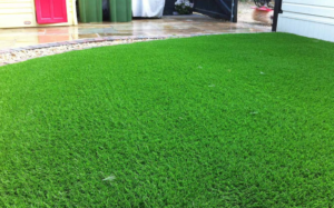 3 Fascinating Facts About Synthetic Grass You Probably Didn't Know In San Diego