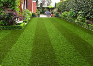 5 Artificial Grass Advantages In San Diego