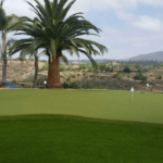 5 Uses Of Artificial Grass In San Diego