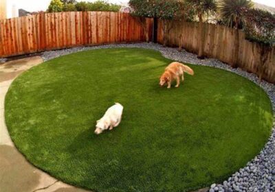 5 Tips To Install Artificial Grass For Dog Run In San Diego