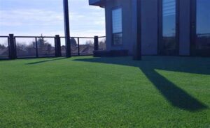 5 Tips To Use Artificial Grass For Office Buildings In San Diego