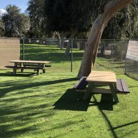 Dog Parks San Diego